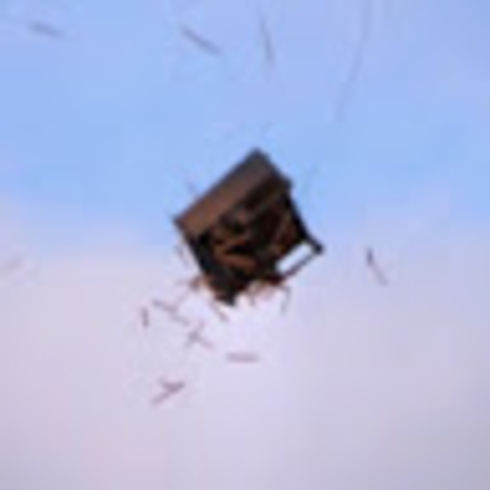 Meet your Posher, Kaitlin